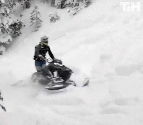 Snow Scooter