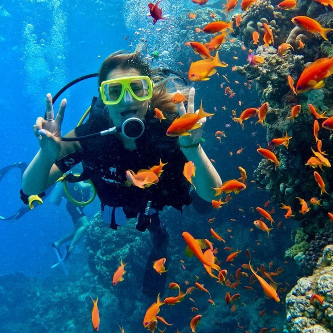 Scuba Diving